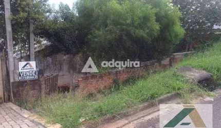 Terreno à venda 1 Quarto, 518M², Nova Rússia, Ponta Grossa - PR