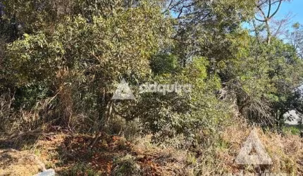 Terreno à venda 424.3M², Estrela, Ponta Grossa - PR