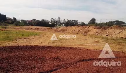 Terreno à venda 22047M², Jardim Colonial, Castro - PR
