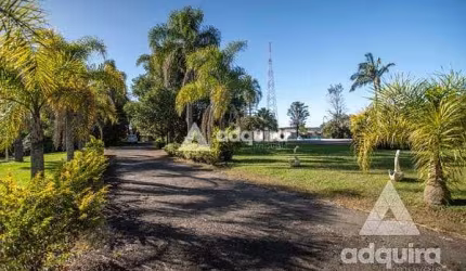 Chácara para Locação 24000M², Chapada, Ponta Grossa - PR