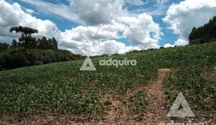 Chácara à venda 17545M², Centro, Palmeira - PR