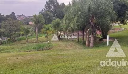 Chácara à venda 12000M², Cará-cará, Ponta Grossa - PR