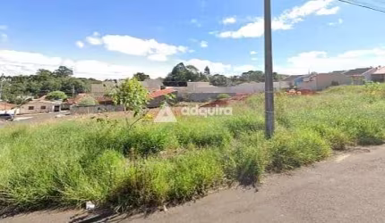 Terreno à venda, Uvaranas, Ponta Grossa, PR