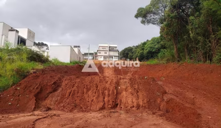 Terreno à venda, Já feito Limpeza e Terraplanagem, com 462m² de área total, Estrela, Ponta Grossa -