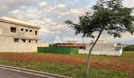 Terreno à venda, Condomínio Terras Alphaville, Jardim Carvalho, Ponta Grossa, PR