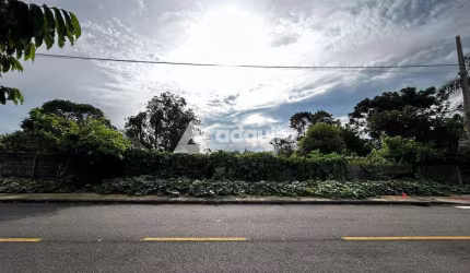 Terreno à Venda - 462m² (33m x 14m) na Rua Paulo Frontin (próximo ao Seminário Maior Diocesano São