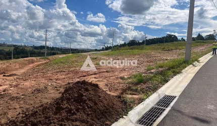 Terreno à venda, Jardim Carvalho, Jardim Alpha, Ponta Grossa, PR