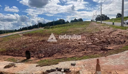 Terreno à venda, Jardim Carvalho, Condomínio Jardim Alpha, Ponta Grossa, PR