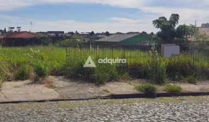 Terreno à venda, Orfãs, Ponta Grossa, PR