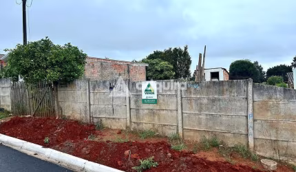 Terreno à venda, Vila Romana, Piriquitos, Ponta Grossa, PR