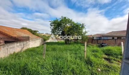 Terreno à venda, Colônia Dona Luíza, Ponta Grossa, PR