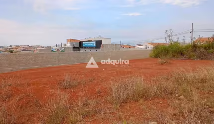Terreno à venda no condomínio Habitacional Nova, Ponta Grossa, PR