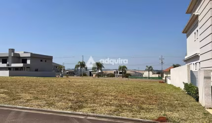 Terreno à venda, Jardim Carvalho, Ponta Grossa, PR