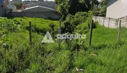 Terreno à venda, Jardim Carvalho, Ponta Grossa, PR