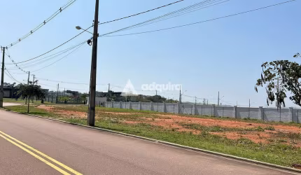 Terreno comercial à venda, Jardim Carvalho, Ponta Grossa, PR