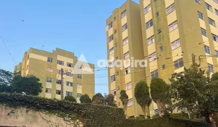 Apartamento para locação, Estrela, Ponta Grossa, PR