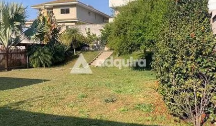 Terreno à venda 528M², Orfãs, Ponta Grossa - PR