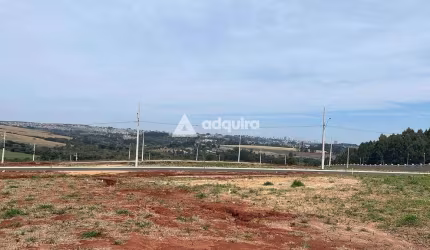 Terreno à venda, Jardim Carvalho, Ponta Grossa, PR