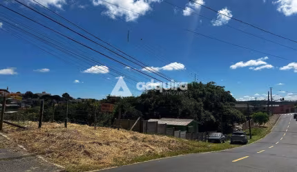 Terreno à venda, com 528m² (16m x 33m), Jardim Carvalho. Ponta Grossa, PR