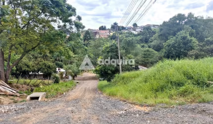 Terreno de esquina à venda próximo à Rua Londrina, Nova Rússia, Ponta Grossa, PR