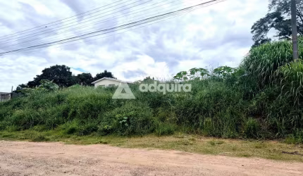 Terreno próximo à Rua Londrina à venda, Nova Rússia, Ponta Grossa, PR