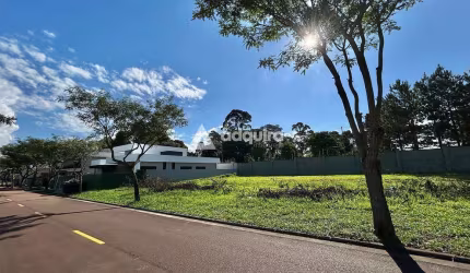 Terreno à venda, Terras Alphaville, Jardim Carvalho, Ponta Grossa, PR
