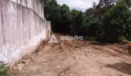 Terreno à venda, Uvaranas, Ponta Grossa, PR