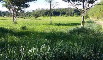 Terreno à venda na Zona Rural, Pingo-D'Água  por R$ 140.000
