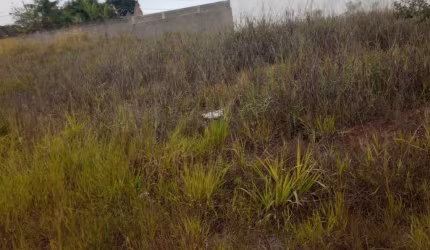 TERRENO OTIMA LOCALIZAÇÃO RUA ASFALTADA