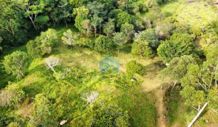 Terreno de 1 Hectare, com Linda Vista p/ Mar, Bairro Macacu, em Garopaba!