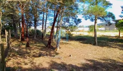 Terreno com Ótima Localização, com Acesso à Lagoa de Ibiraquera, em Imbituba!