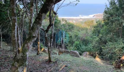 Amplo Terreno Localizado na Praia do Silveira, em Garopaba, com Linda Vista p/ Toda Praia!