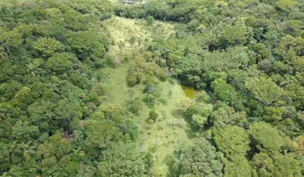 Amplo Terreno com Linda Vista, Localizado no Bairro Encantada, em Garopaba!