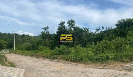 VILA MAIA 3,8 HECTARES A VENDA 180MIL POR HECTARES- BANANEIRAS-PB