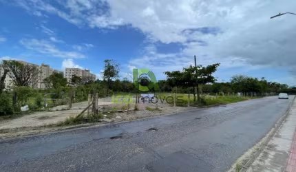Terreno para Alugar em Palhoça, Aluguel de terreno em Palhoça
