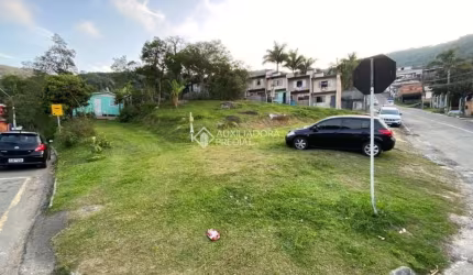 Terreno comercial à venda na Paquistão, 150, Nações, Balneário Camboriú, 419 m2 por R$ 849.000