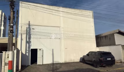 Barracão / Galpão / Depósito para alugar na Salvador, 623, Centro, Camboriú, 240 m2 por R$ 8.000
