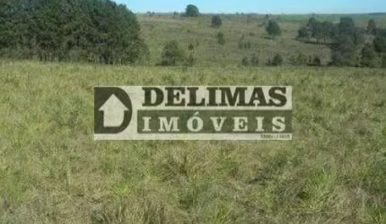 1416 - TERRENO RURAL COM 732,194 M² / 30,25 ALQUEIRES EM SÃO LUIZ DO PURUNÃ - BALSA NOVA