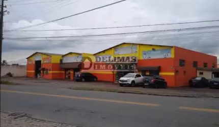 LOJA AGROPECUÁRIA COM 600M² NO COSTEIRA EM SÃO JOSÉ DOS PINHAIS