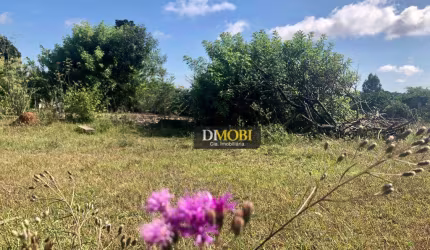 Lindo terreno com 3.250m2 ! Venha conhecer!