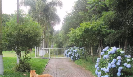 Chácara / sítio com 1 quarto à venda na Zona Rural, São José dos Pinhais , 4990 m2 por R$ 686.000