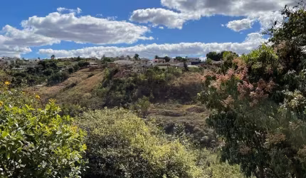 Casas em Águas Claras / Arniqueiras