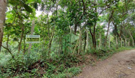 Terreno à venda, 100170 m² por R$ 190.000,00 - Sete Praias - São Paulo/SP