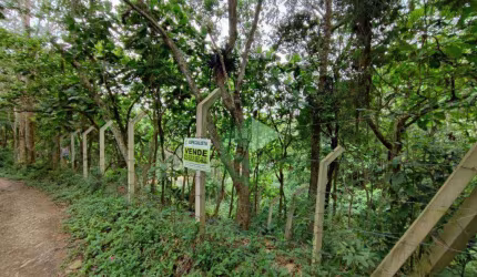 Terreno à venda, 1039 m² por R$ 190.000 - Sete Praias - São Paulo/SP