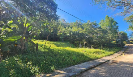 Terreno à venda, 1200 m² por R$ 1.500.000 - Córrego Grande - Florianópolis/SC