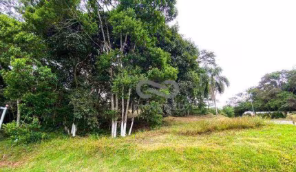 Terreno à venda, 700 m² por R$ 1.100.000,00 - Córrego Grande - Florianópolis/SC