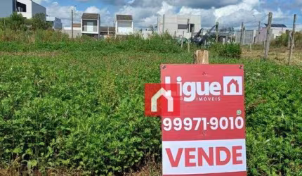 Grande oportunidade