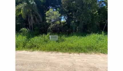 Terreno para Venda no bairro loteamento mariscal  em Bombinhas, 325 m² de área total,