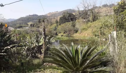Sítio à Venda - Bairro Boa Vereda, Amparo - 367m2  - 5 Quartos