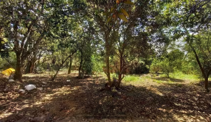 Terreno à Venda - Village Campinas, Campinas - 1.500m2